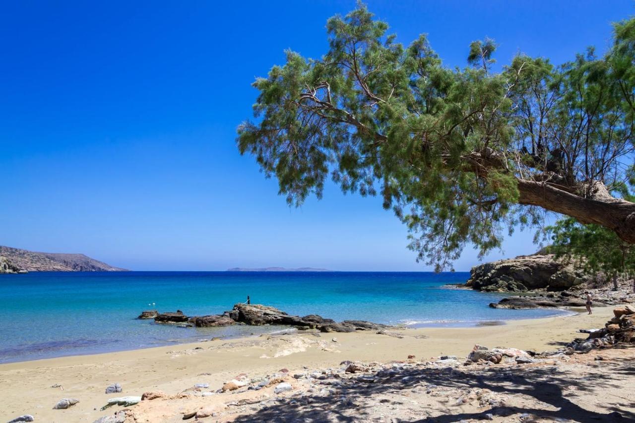 Carissa House In Crete Lägenhet Sitia  Exteriör bild