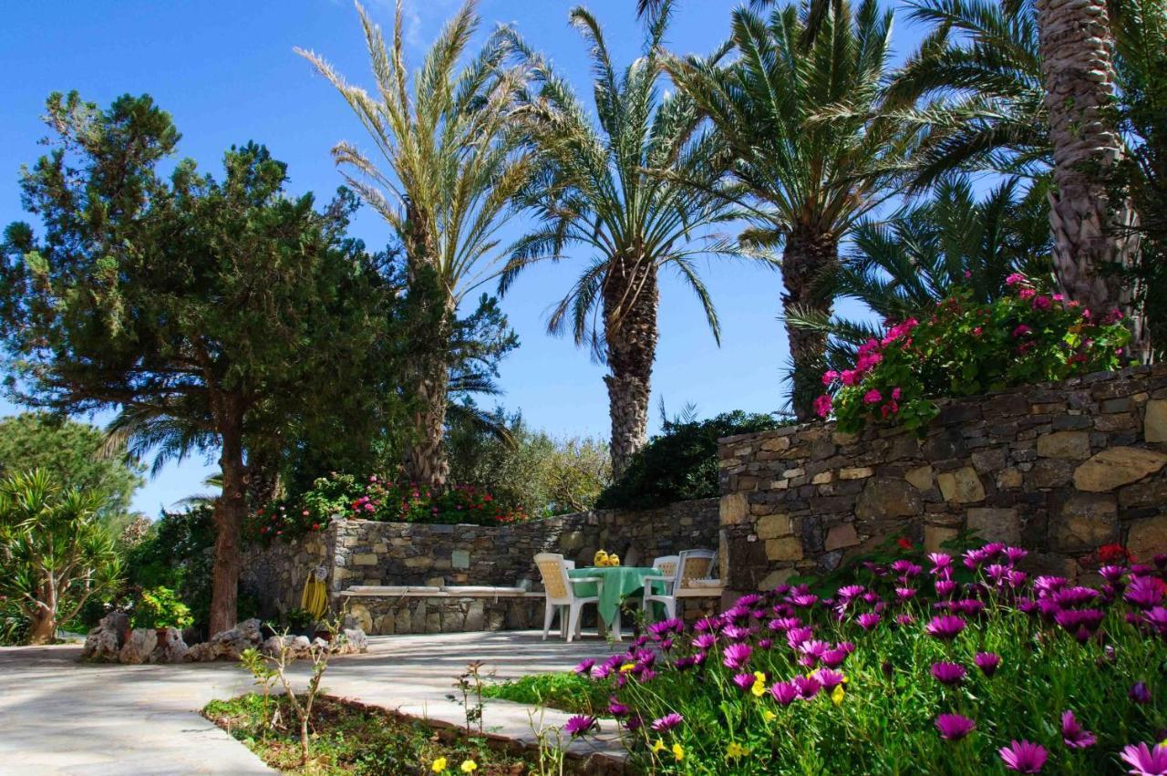 Carissa House In Crete Lägenhet Sitia  Exteriör bild